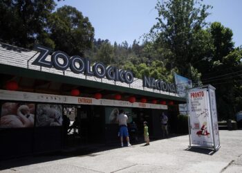 Zoológico Metropolitano Anuncia Acceso Gratis: ¿Desde Cuándo Puedo Acceder Al Beneficio Y Hasta Cuándo Funciona?